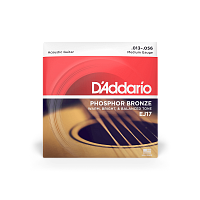 D`ADDARIO EJ17